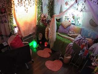 voyeurcam-veccasalt-01 webcam