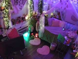 voyeurcam-veccasalt-01 webcam