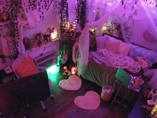 voyeurcam-veccasalt-01 webcam