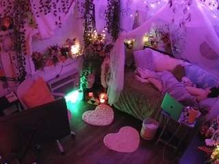 voyeurcam-veccasalt-01 webcam