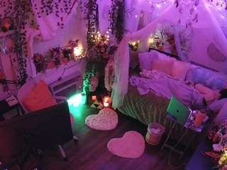 voyeurcam-veccasalt-01 webcam