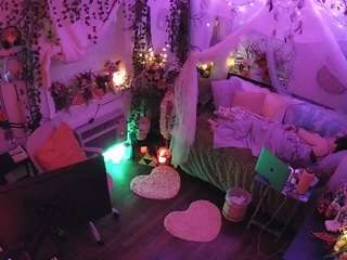 voyeurcam-veccasalt-01 webcam