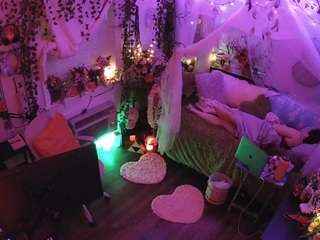 voyeurcam-veccasalt-01 webcam