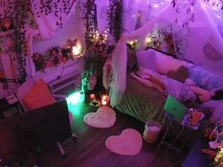 voyeurcam-veccasalt-01 webcam