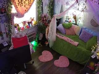 voyeurcam-veccasalt-01 webcam