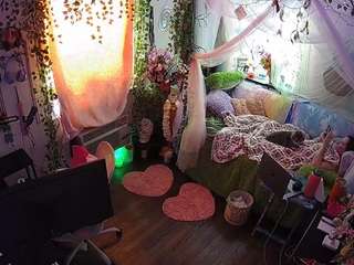 voyeurcam-veccasalt-01 webcam