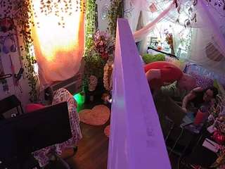 voyeurcam-veccasalt-01 webcam