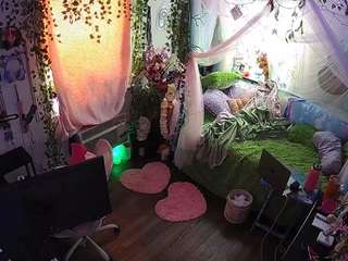 voyeurcam-veccasalt-01 webcam