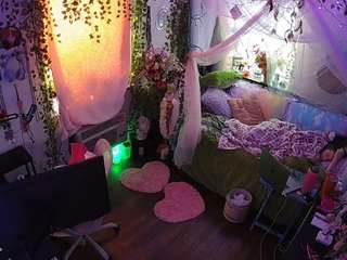 voyeurcam-veccasalt-01 webcam