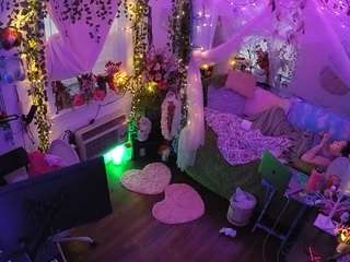 voyeurcam-veccasalt-01 webcam