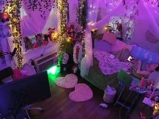 voyeurcam-veccasalt-01 webcam