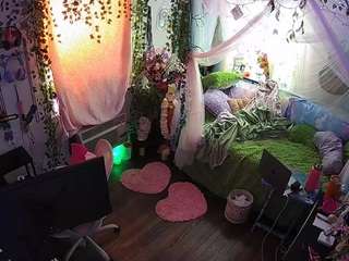 voyeurcam-veccasalt-01 webcam