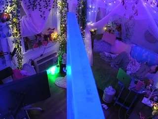 voyeurcam-veccasalt-01 webcam