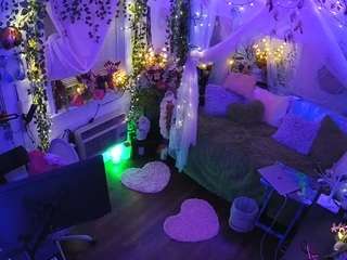 voyeurcam-veccasalt-01 webcam