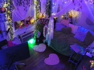 voyeurcam-veccasalt-01 webcam