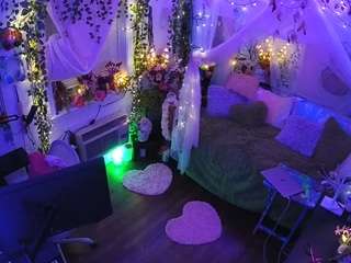 voyeurcam-veccasalt-01 webcam