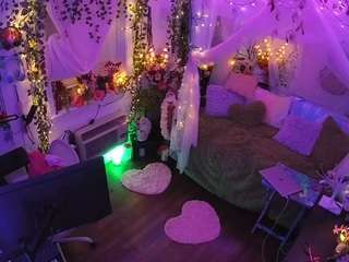 voyeurcam-veccasalt-01 webcam