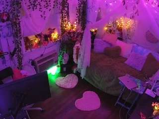 voyeurcam-veccasalt-01 webcam