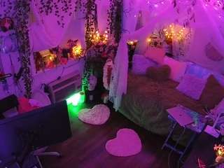 voyeurcam-veccasalt-01 webcam