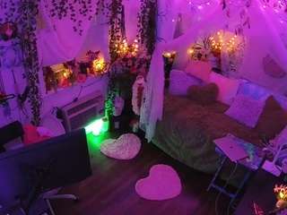 voyeurcam-veccasalt-01 webcam