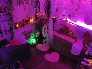 voyeurcam-veccasalt-01 webcam