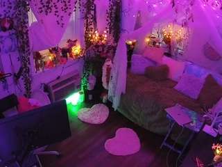 voyeurcam-veccasalt-01 webcam