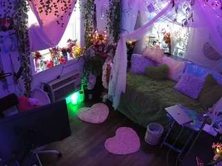 voyeurcam-veccasalt-01 webcam