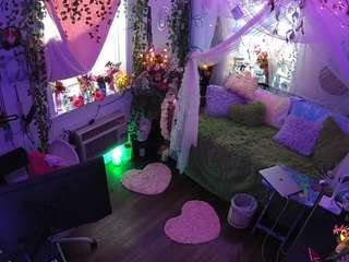 voyeurcam-veccasalt-01 webcam