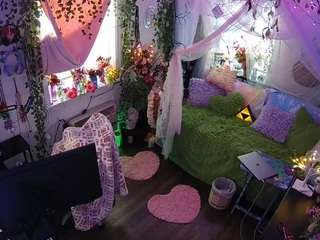 voyeurcam-veccasalt-01 webcam