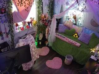 voyeurcam-veccasalt-01 webcam