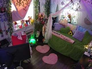 voyeurcam-veccasalt-01 webcam