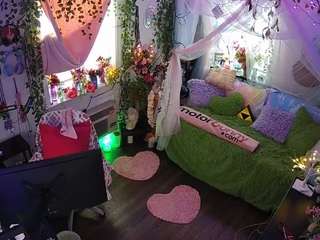 voyeurcam-veccasalt-01 webcam