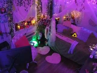 voyeurcam-veccasalt-01 webcam