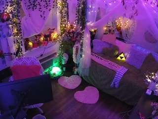 voyeurcam-veccasalt-01