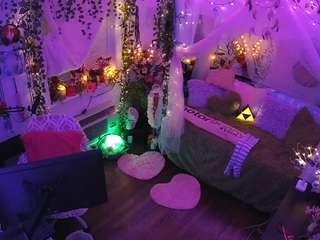 voyeurcam-veccasalt-01 webcam