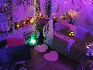 voyeurcam-veccasalt-01 webcam