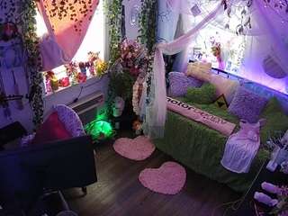 voyeurcam-veccasalt-01