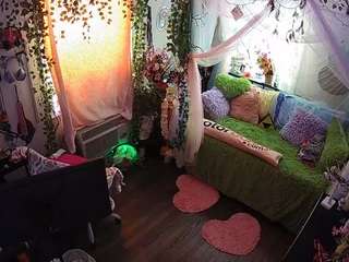 voyeurcam-veccasalt-01 webcam
