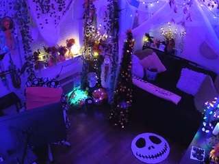 voyeurcam veccasalt 01 live cam preview