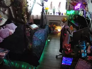 voyeurcam-veccasalt-01's Live Sex Cam Show