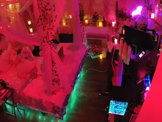 voyeurcam-veccasalt-01's Live Sex Cam Show