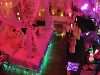 voyeurcam-veccasalt-01's Live Sex Cam Show