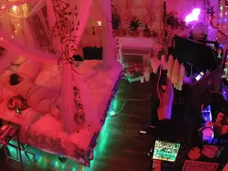 voyeurcam-veccasalt-01's Live Sex Cam Show