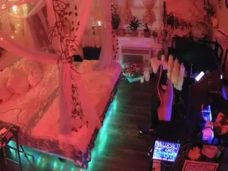 voyeurcam-veccasalt-01's Live Sex Cam Show