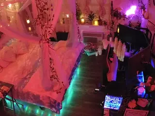 voyeurcam-veccasalt-01's Live Sex Cam Show