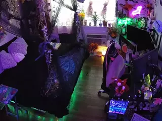 voyeurcam-veccasalt-01's Live Sex Cam Show