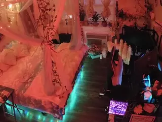 voyeurcam-veccasalt-01's Live Sex Cam Show