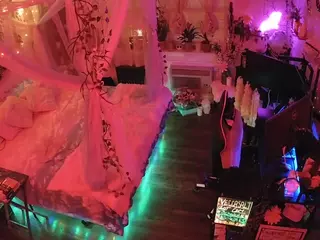 voyeurcam-veccasalt-01's Live Sex Cam Show