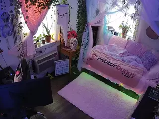 voyeurcam veccasalt 01's Live Sex Cam Show