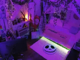 voyeurcam veccasalt 01's Live Sex Cam Show